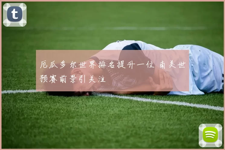 厄瓜多尔世界排名提升一位 南美世预赛前景引关注