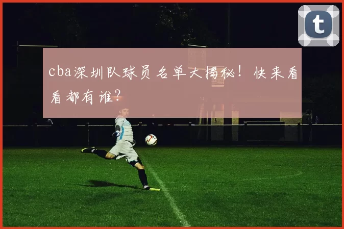 cba深圳队球员名单大揭秘!快来看看都有谁?