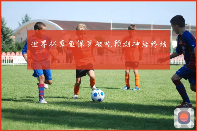 世界杯章鱼保罗被吃预测神话终结