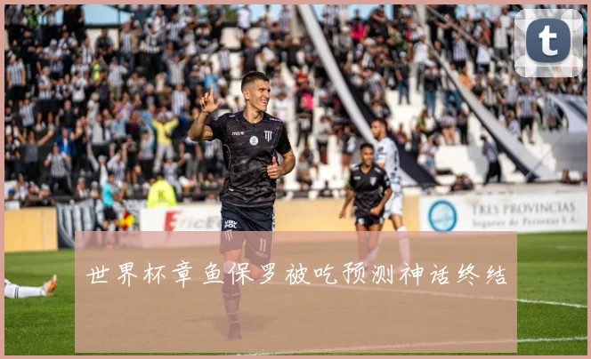 世界杯章鱼保罗被吃预测神话终结