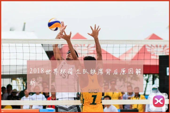 2018世界杯荷兰队缺席背后原因解析