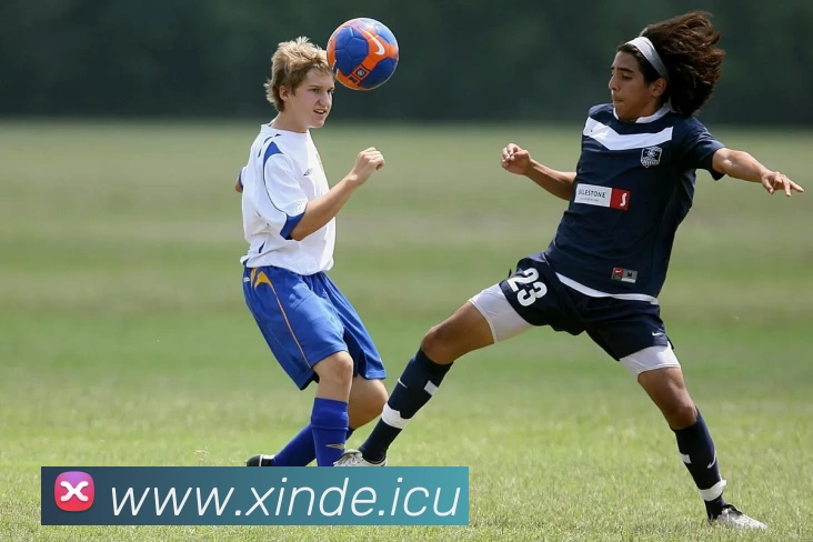 多媒体互动体验