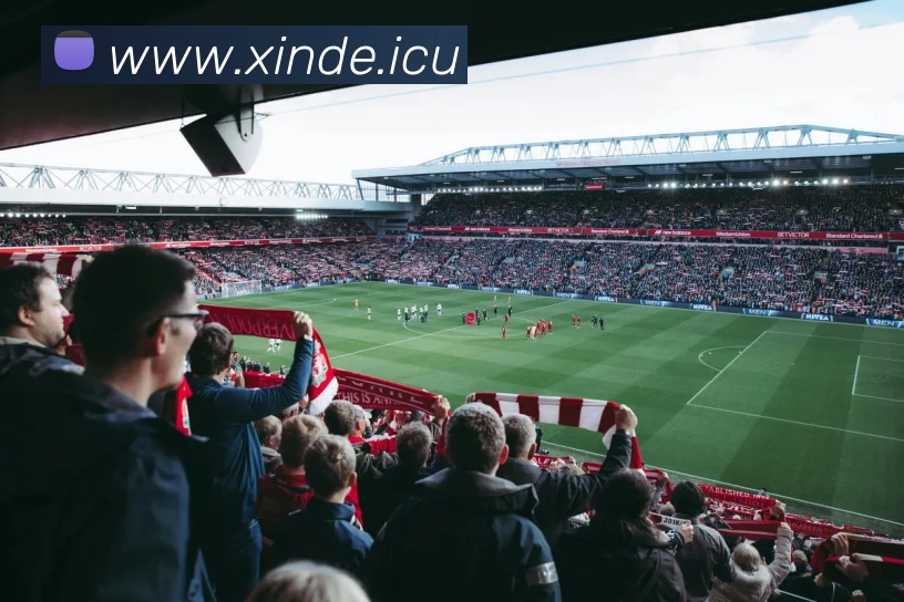 j9九游会备用网站 - ag九游会j9官网登录APP 高清赛事图